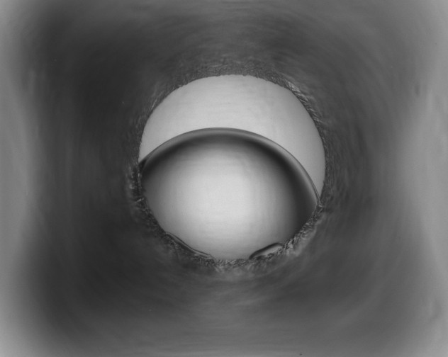 X0000099460192200805090755