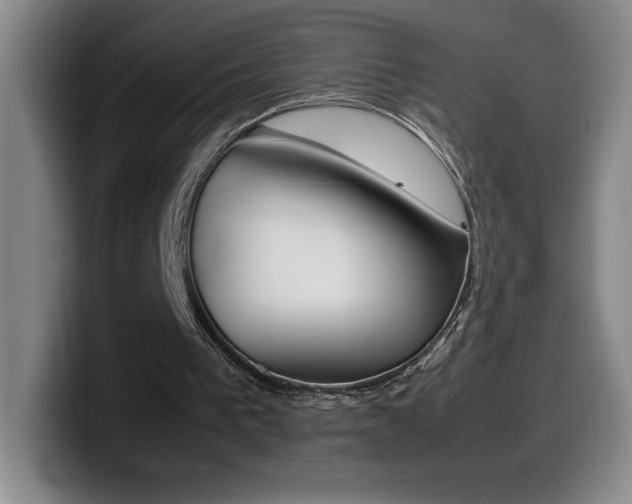 X0000099460193200805090754