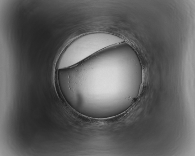 X0000099460195200805090754