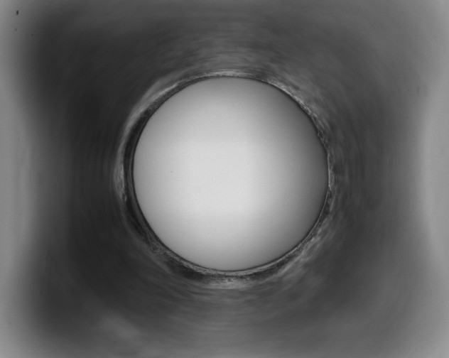 X0000099460198200805090754