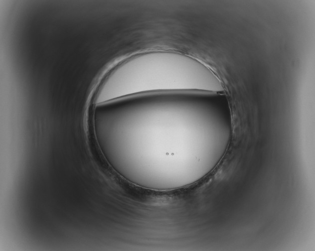X0000099460200200805090754
