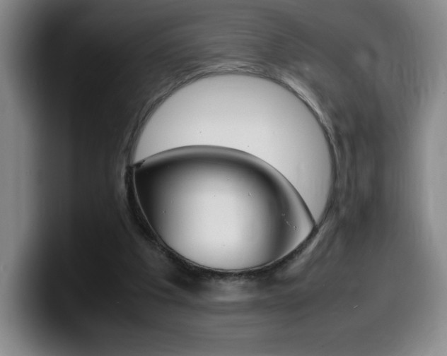 X0000099460201200805090754