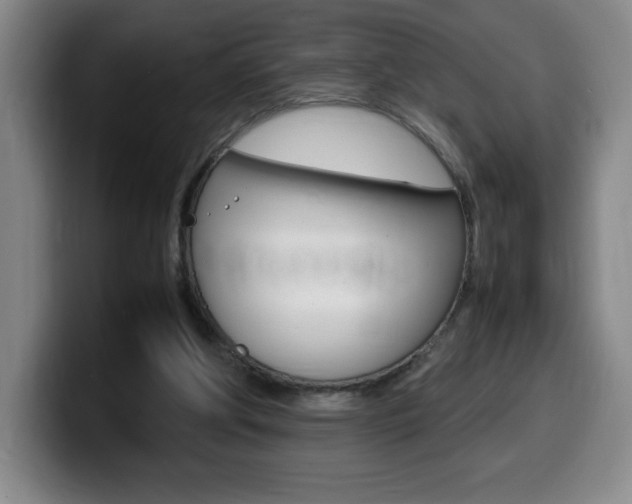 X0000099460202200805090754