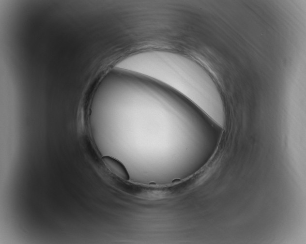 X0000099460205200805090754