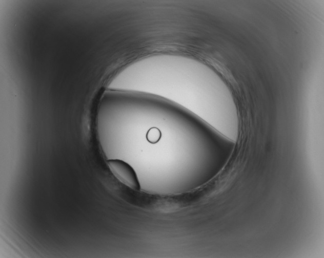 X0000099460207200805090754