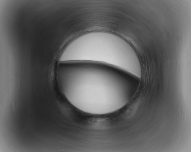 X0000099460208200805090754
