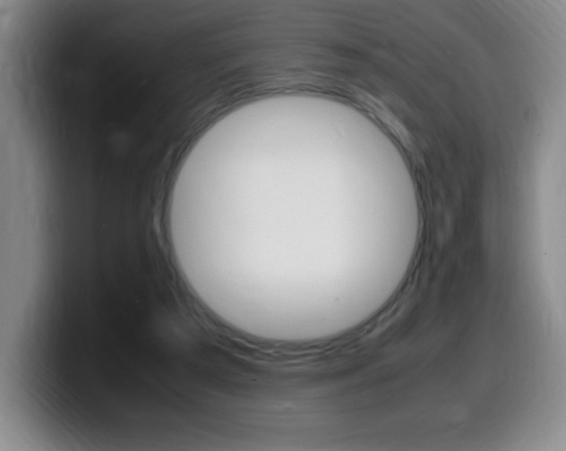 X0000099460209200805090754