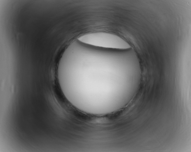 X0000099460210200805090754