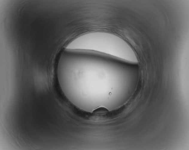 X0000099460211200805090754