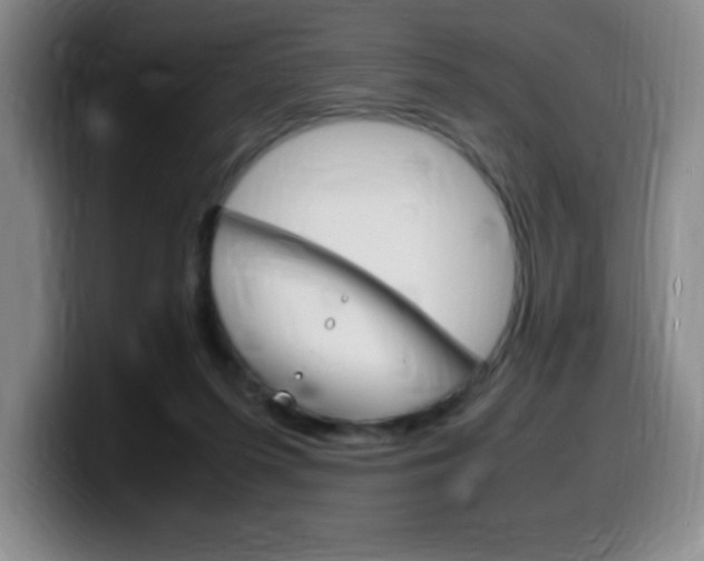 X0000099460215200805090754