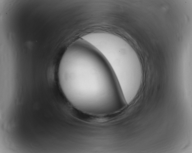 X0000099460217200805090754