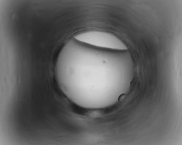 X0000099460218200805090754