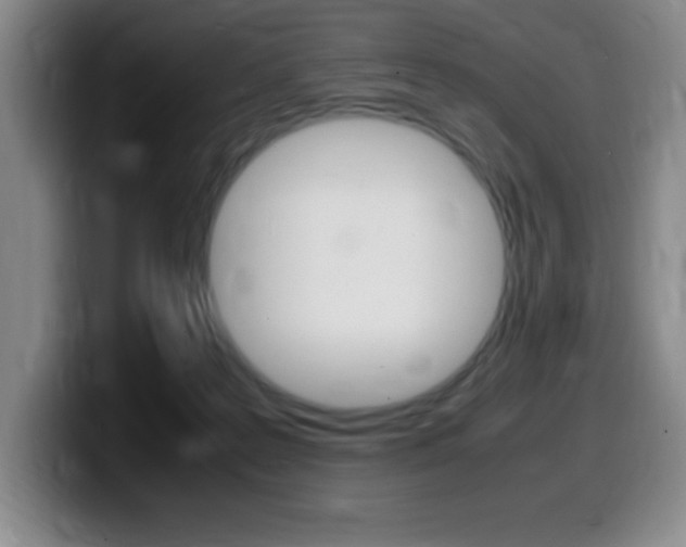 X0000099460219200805090754