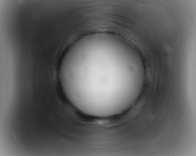 X0000099460220200805090754