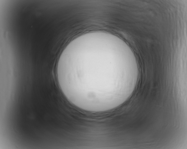 X0000099460221200805090754