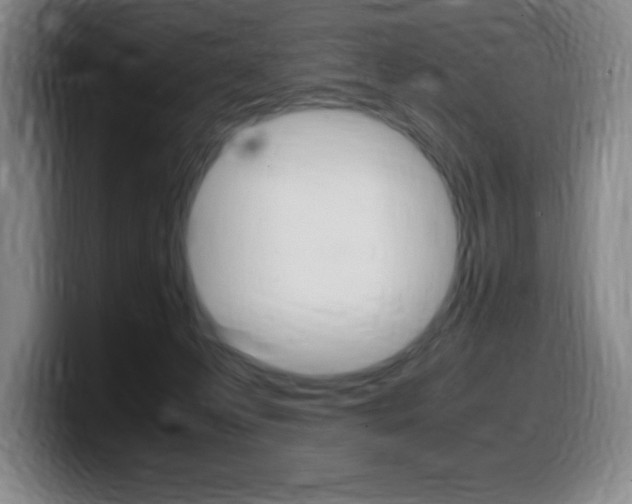 X0000099460223200805090754