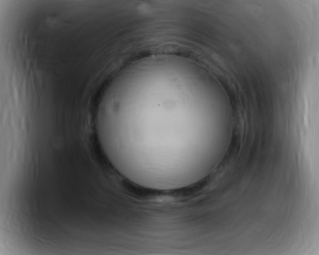 X0000099460224200805090754