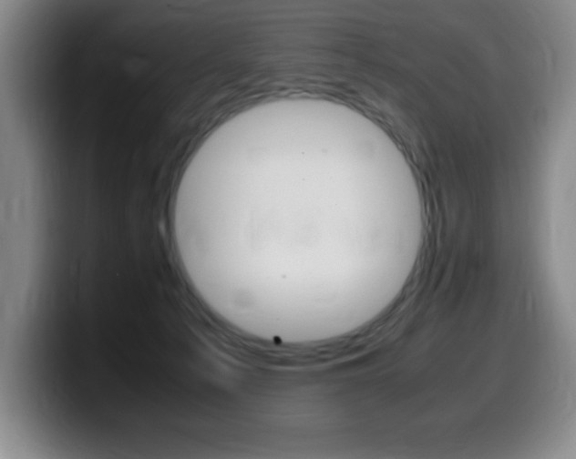 X0000099460225200805090754