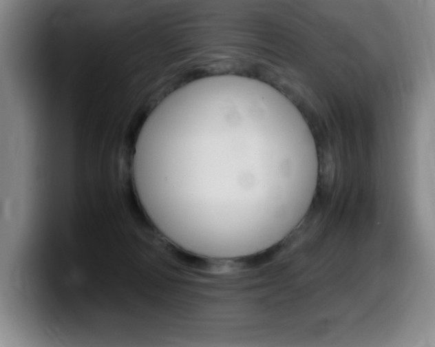 X0000099460226200805090754