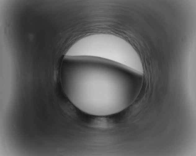 X0000099460227200805090754