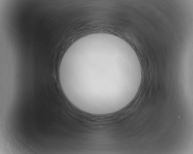 X0000099460229200805090754