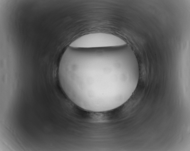 X0000099460230200805090754