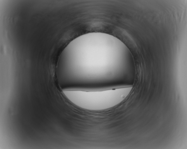 X0000099460232200805090753