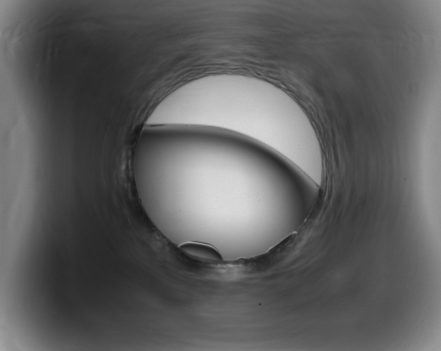 X0000099460233200805090753