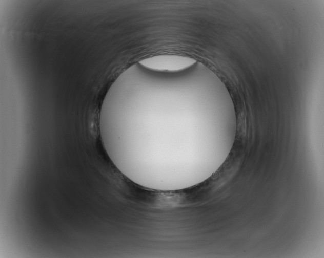 X0000099460234200805090753