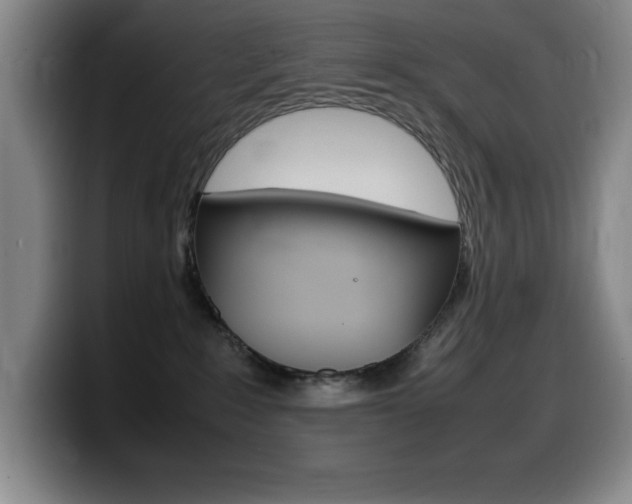 X0000099460235200805090753
