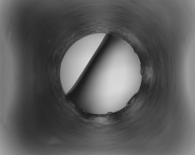 X0000099460236200805090753
