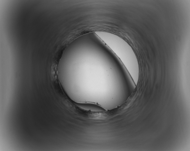X0000099460237200805090753