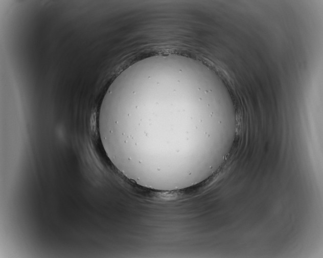 X0000099460238200805090753