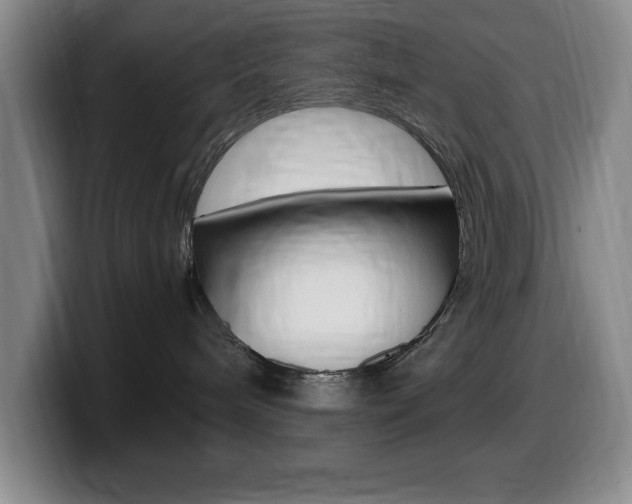 X0000099460240200805090753