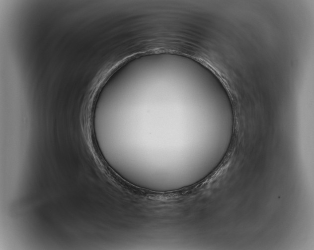 X0000099460241200805090753
