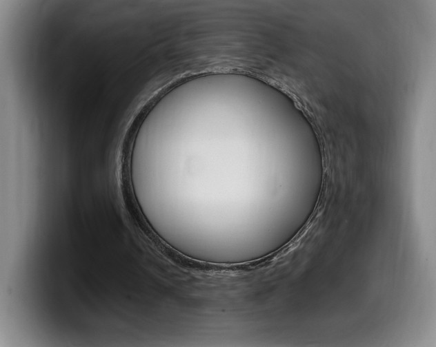 X0000099460242200805090753