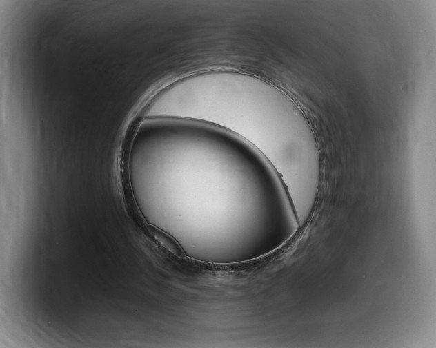 X0000099460244200805090753