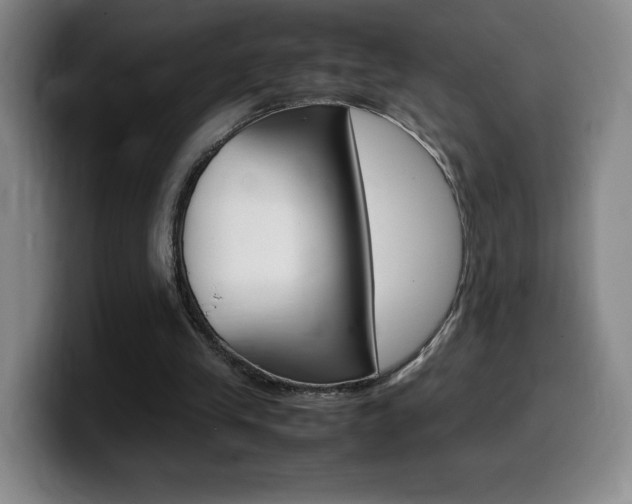 X0000099460245200805090753