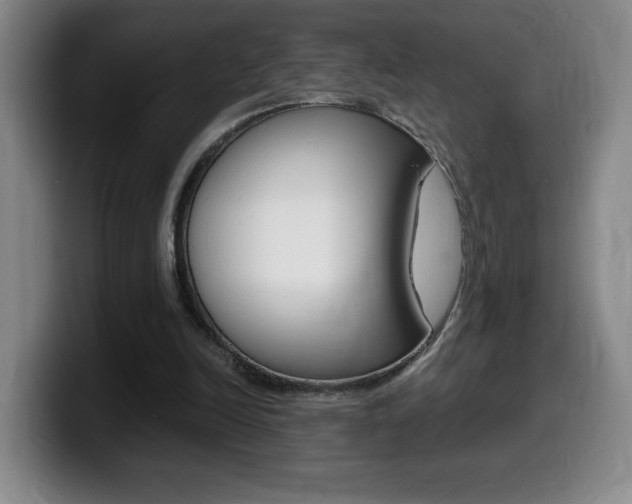 X0000099460246200805090753