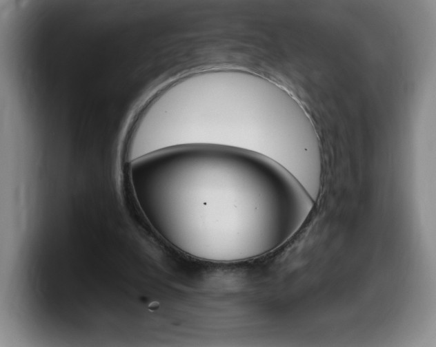 X0000099460248200805090753