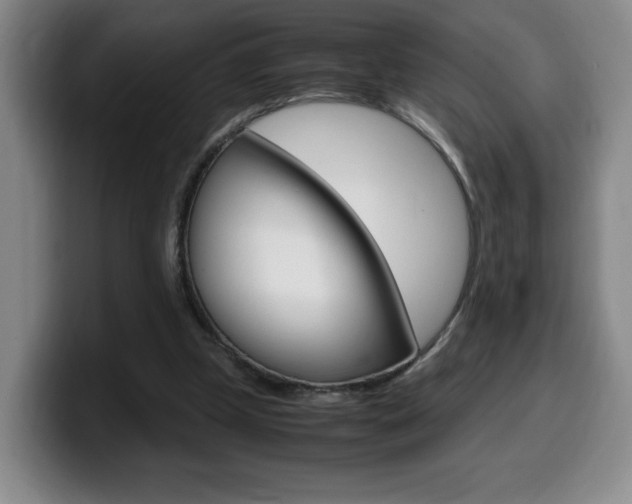 X0000099460249200805090753
