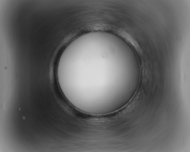 X0000099460250200805090753