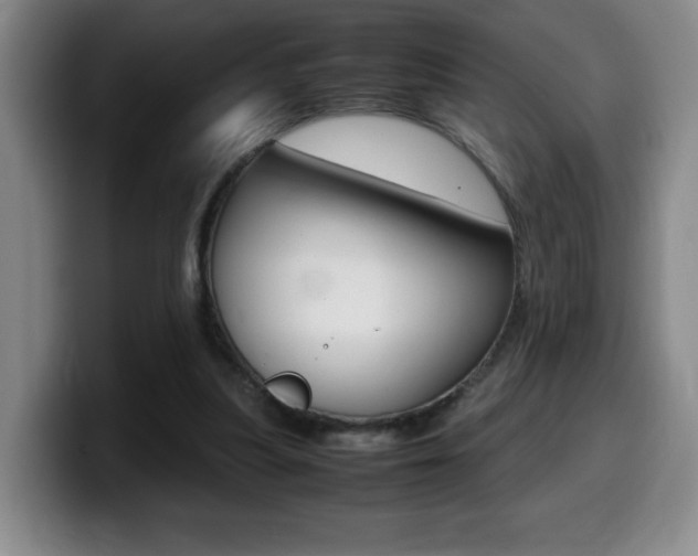 X0000099460251200805090753