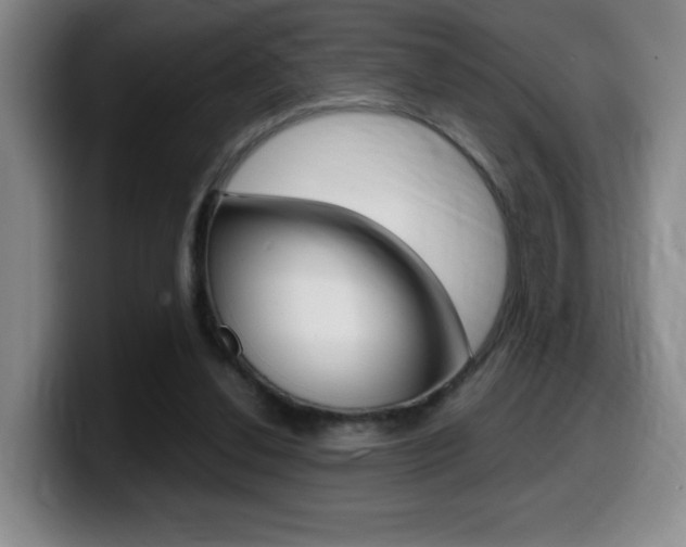 X0000099460252200805090753