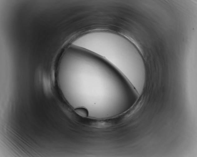 X0000099460253200805090753