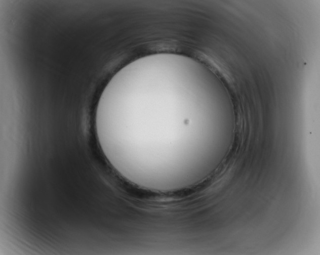 X0000099460255200805090753