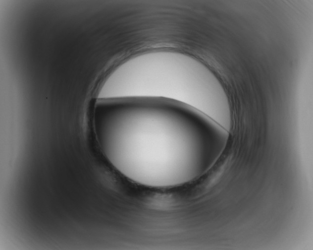 X0000099460256200805090753