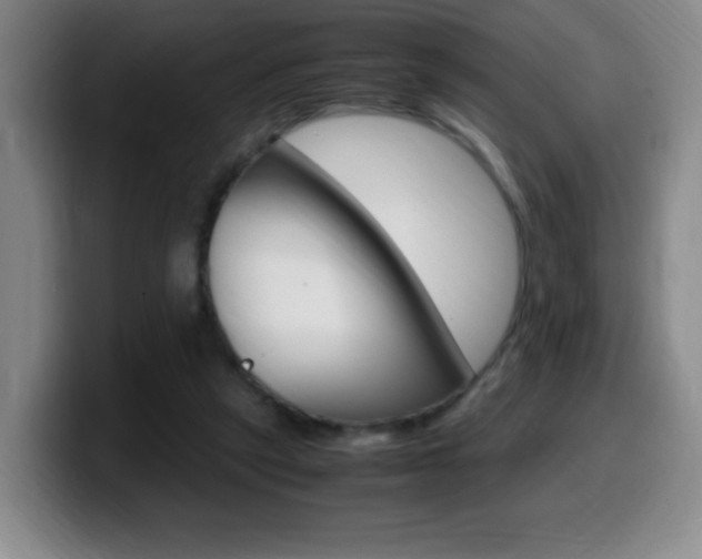 X0000099460257200805090753
