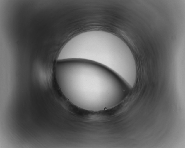 X0000099460259200805090753