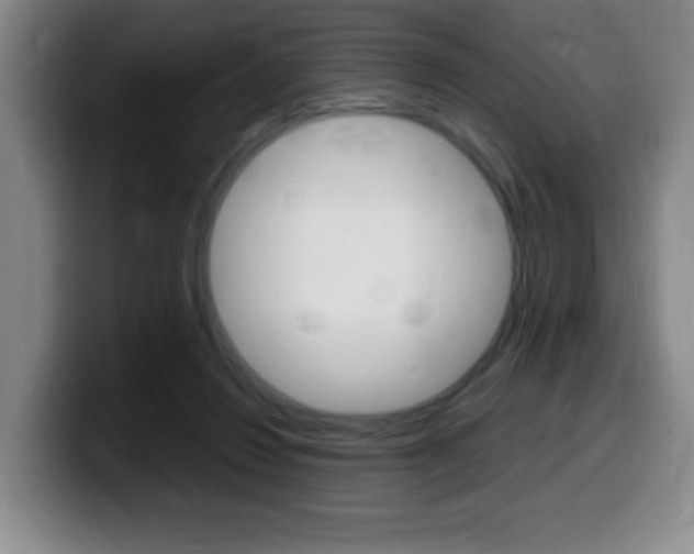 X0000099460260200805090753